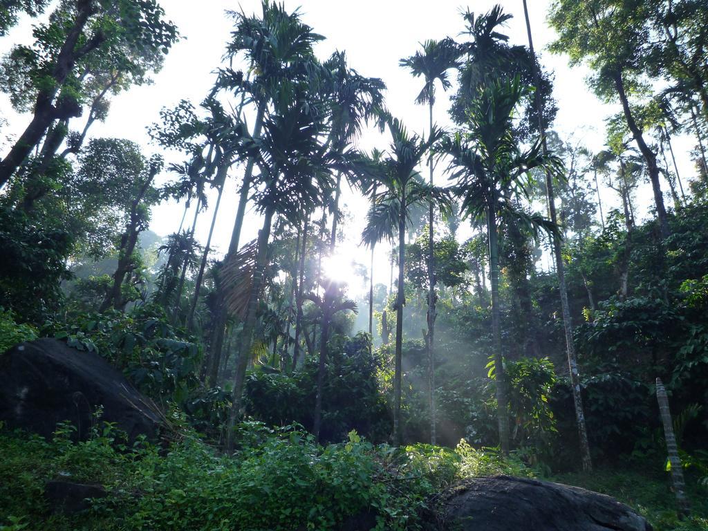 Raj Estate Madikeri