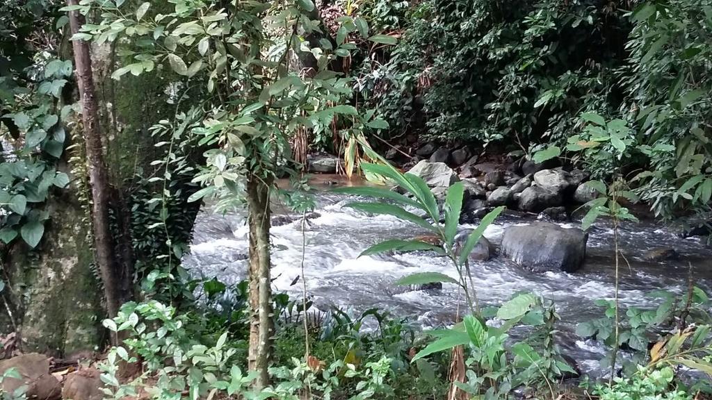 Homestay Raj Estate Madikeri